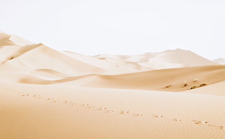 网络科技有限公司