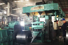 Zhejiang Shuoda Industry and Trade Co., Ltd.