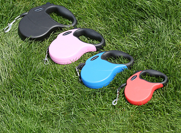 Stretch Leash