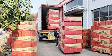 浙江伟科园林机械有限公司