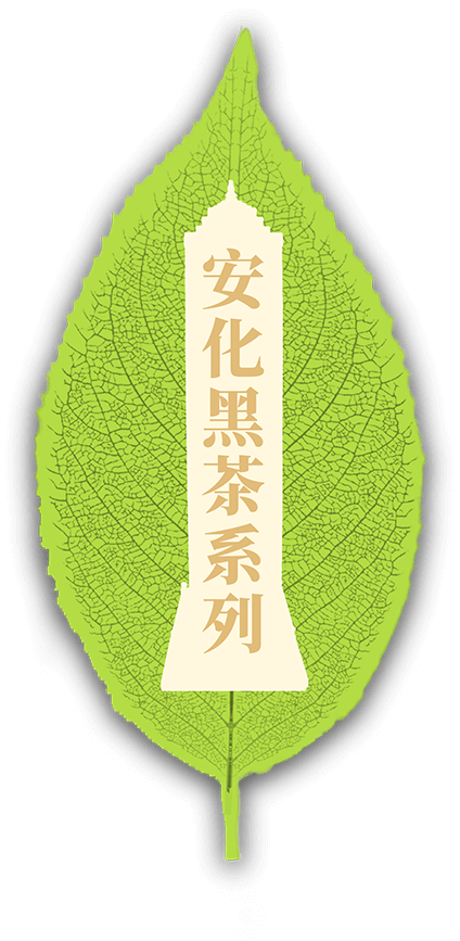安化黑茶系列