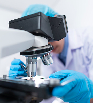 网络科技有限公司