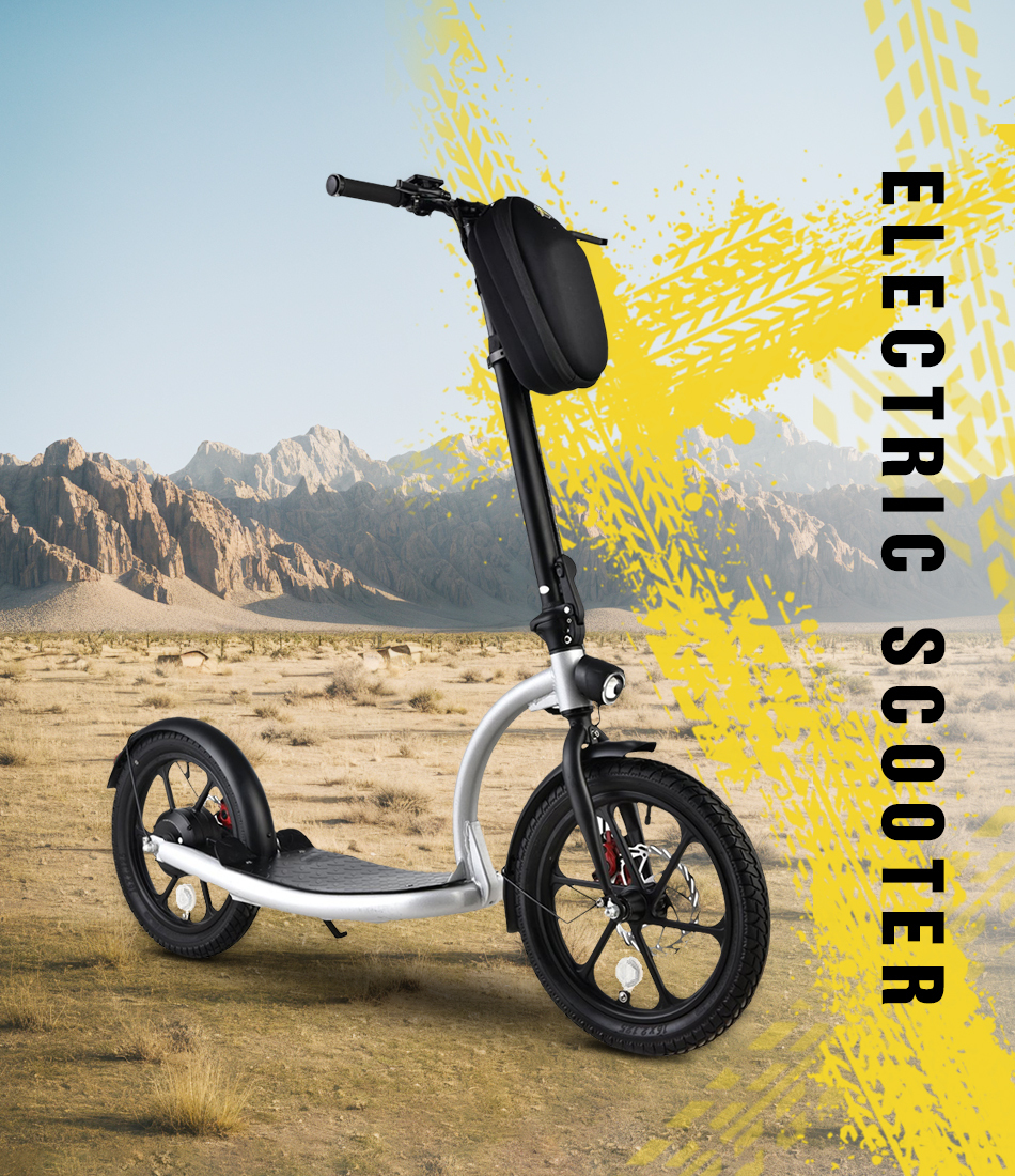 Electric Scooter