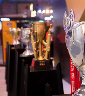 浙江安成工贸有限公司