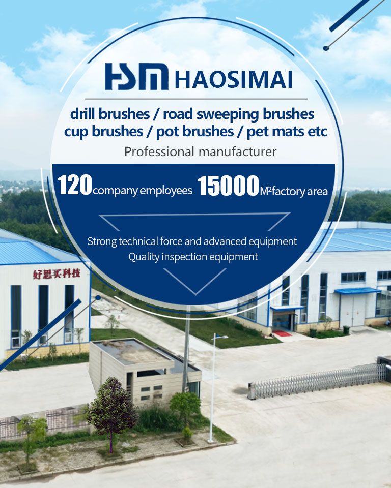 Anhui Haosimai Technology Co., Ltd.