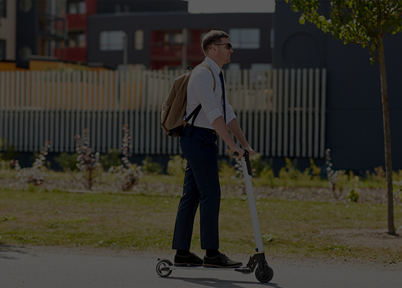 Adult scooter