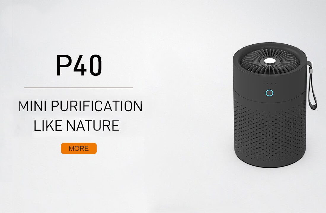 Mini purification Like nature