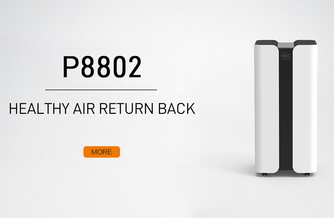 Healthy Air Return Back