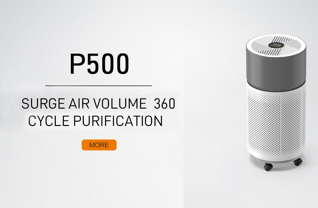 Surge Air Volume 360 Cycle Purification