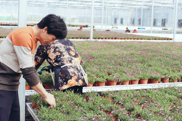 浙江宇森百联工具有限公司