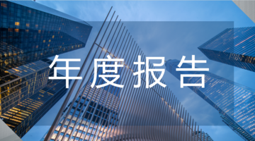 年度报告