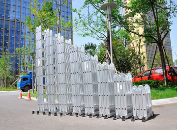 Multi-purpose ladder