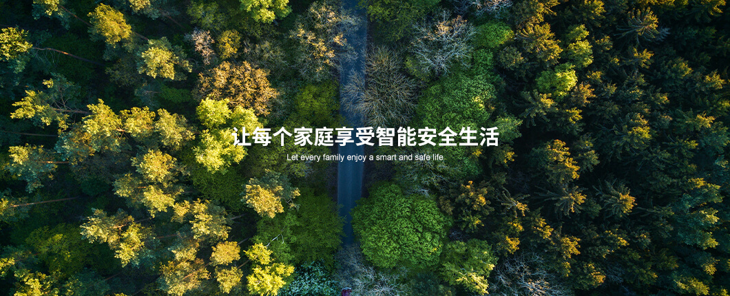 王力集团有限公司