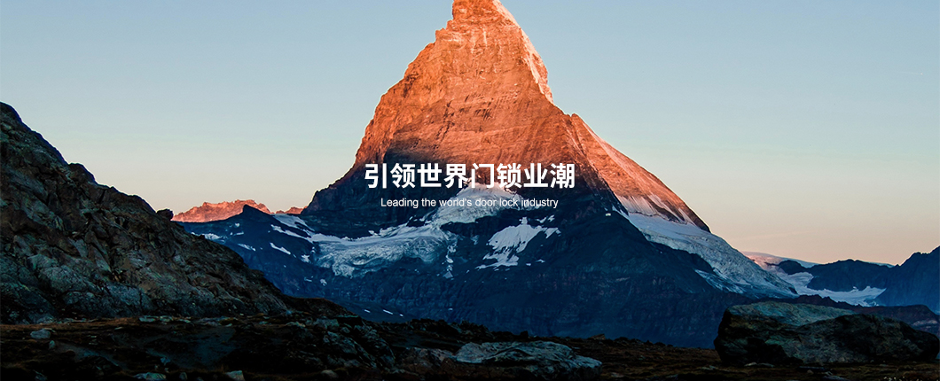 王力集团有限公司