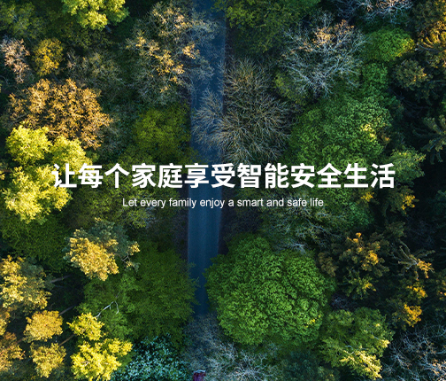 王力集团有限公司