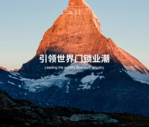 王力集团有限公司