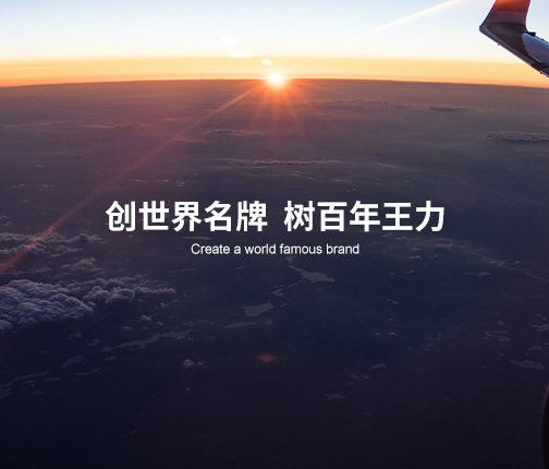 王力集团有限公司