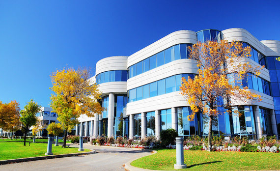 关于我们ABOUT US