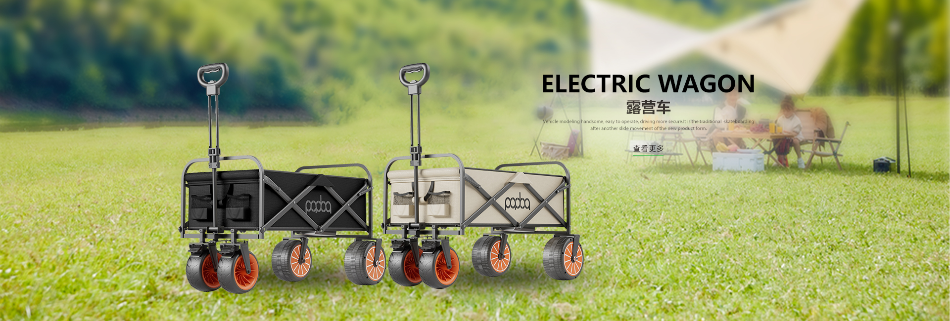 Electric Wagon
