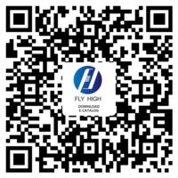 FLYHIGH HOLDING GROUP 