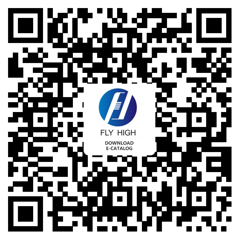 FLYHIGH HOLDING GROUP 