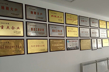  FLY HIGH Holding Group Co., Ltd