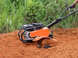 Gasoline Garden Series