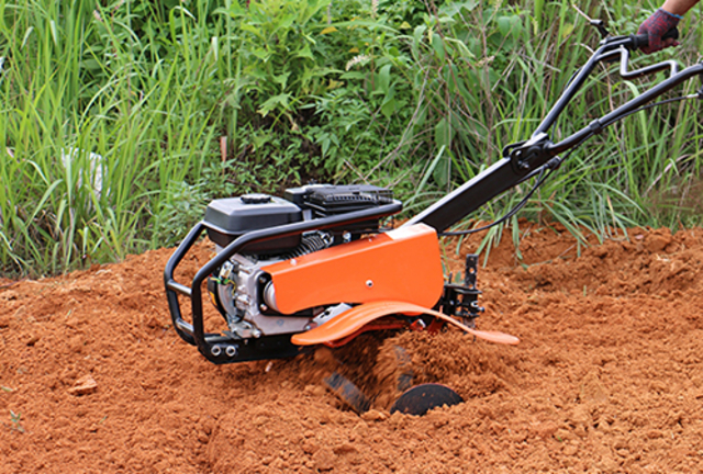 Gasoline Garden Series