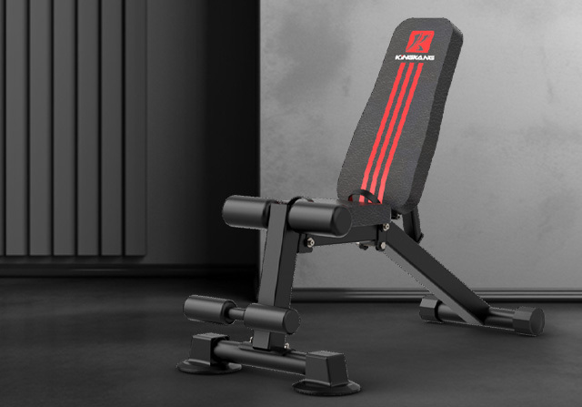 Human inverted assistant