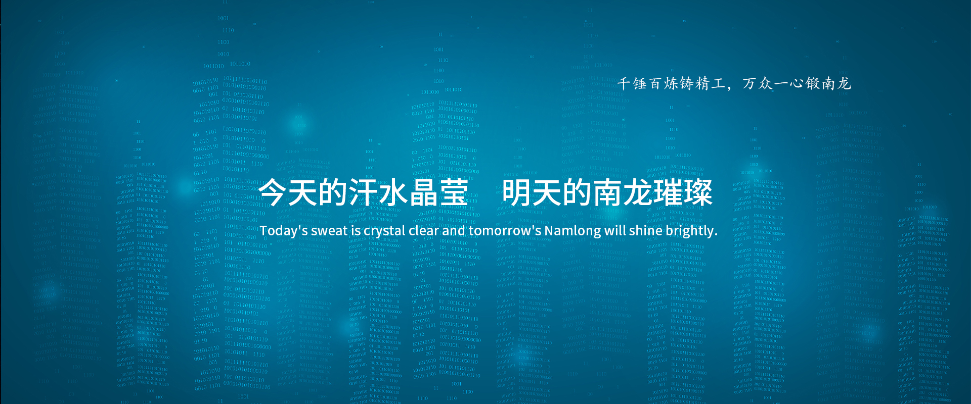 浙江南龙工贸有限公司