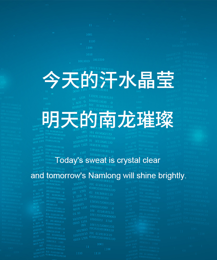 浙江南龙工贸有限公司