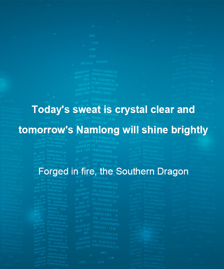 Zhejiang Nanlong Industry and Trade Co., Ltd