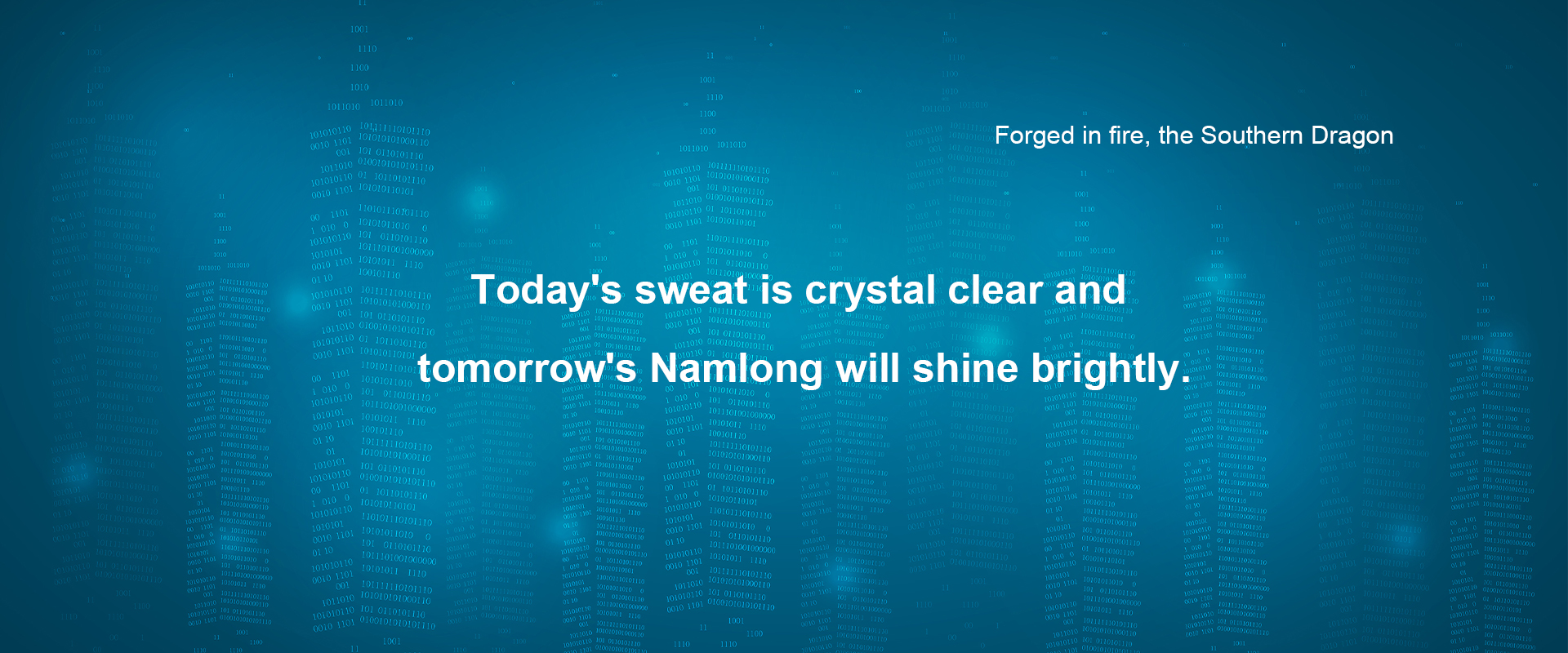 Zhejiang Nanlong Industry and Trade Co., Ltd
