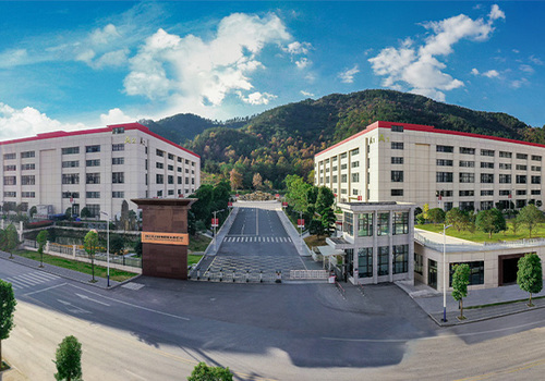 网络科技有限公司