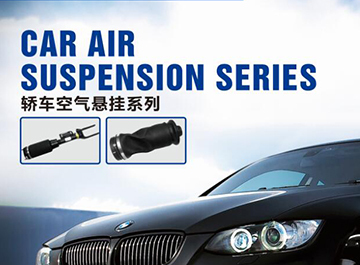 轿车空气悬挂系列