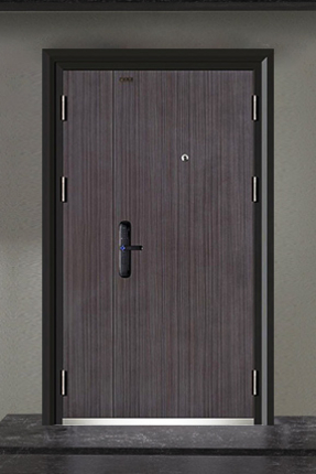 防盗门特色系列