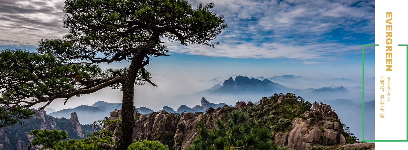 中國王力集團有限公司