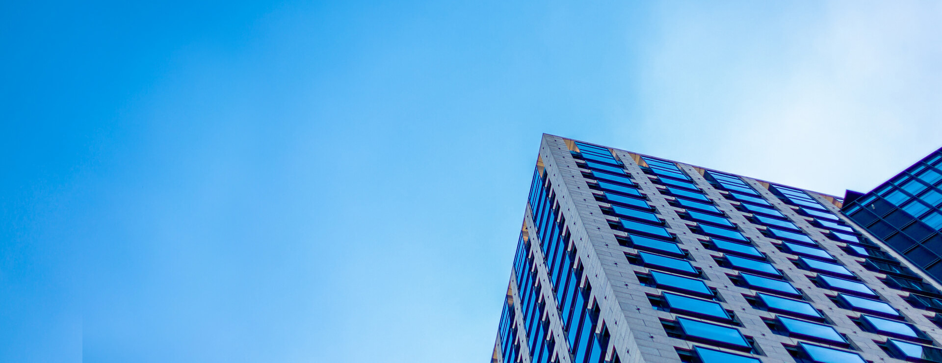 王力集团有限公司