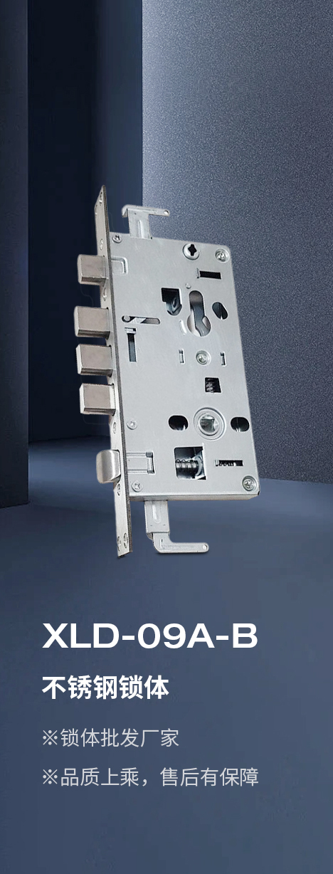 不锈钢锁体