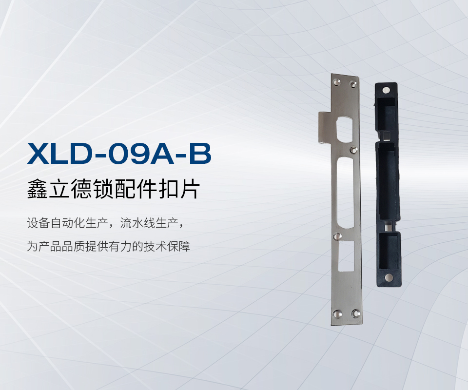 鑫立德锁配件扣片