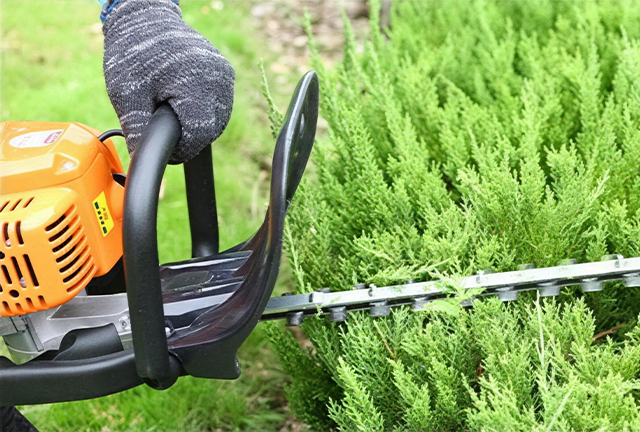 Hedge Trimmer