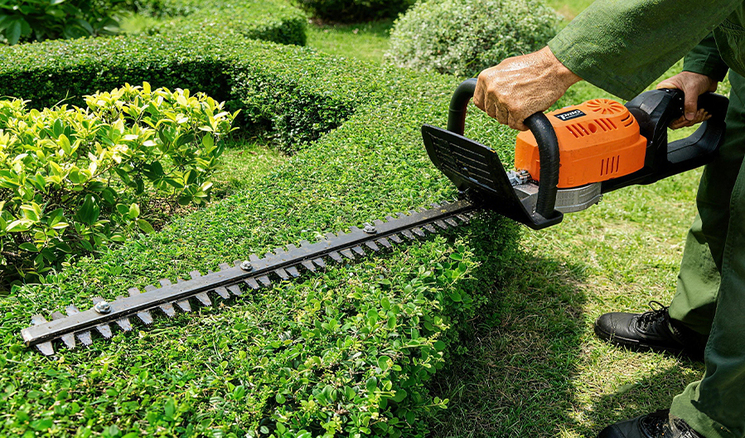 Electric Hedge Trimmer