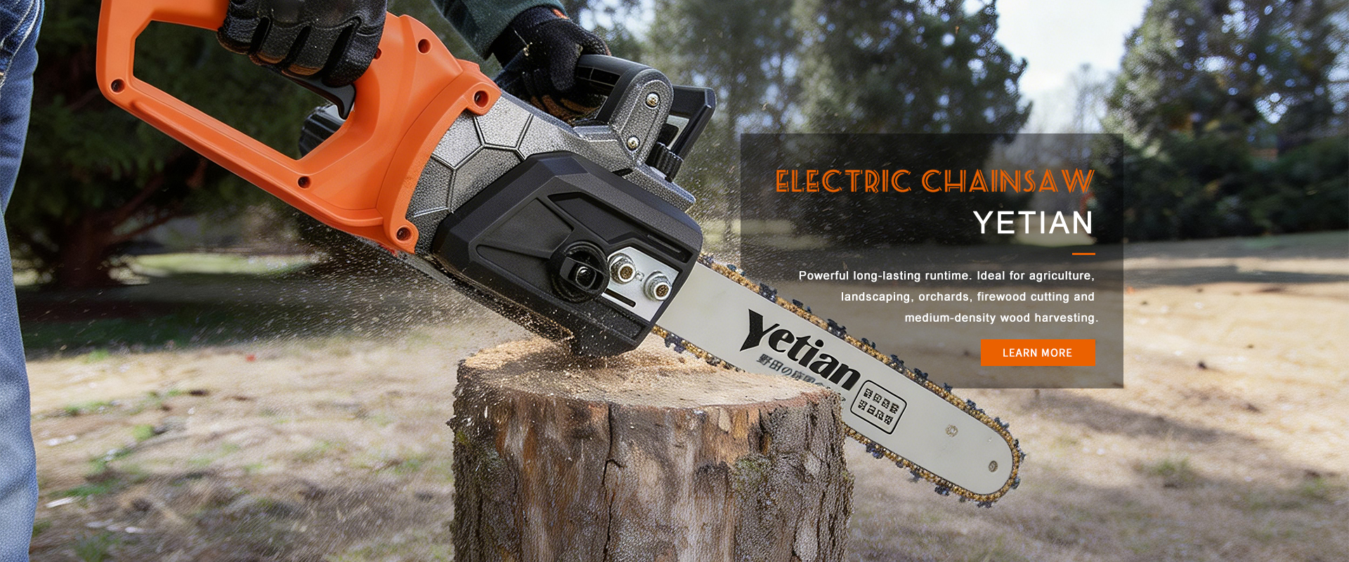 ELECTRIC CHAIN SAW