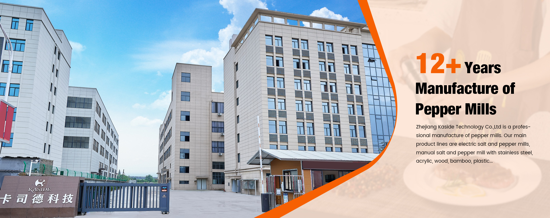 Electric Salt | Pepper Mil