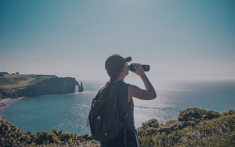 网络科技有限公司