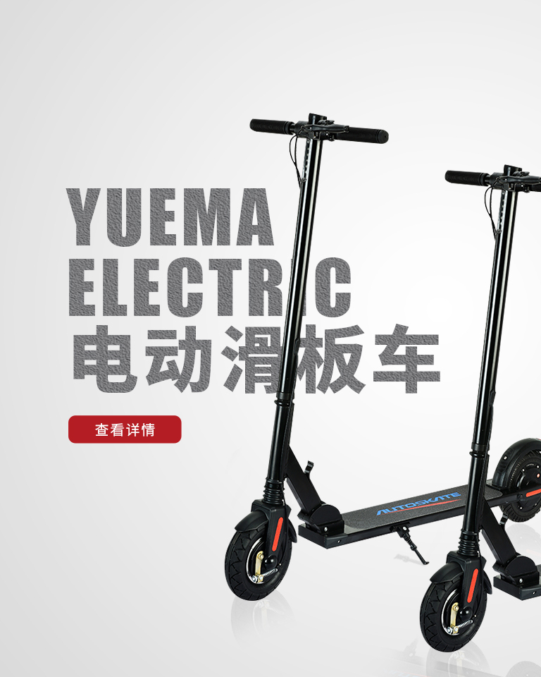 Electric scooter
