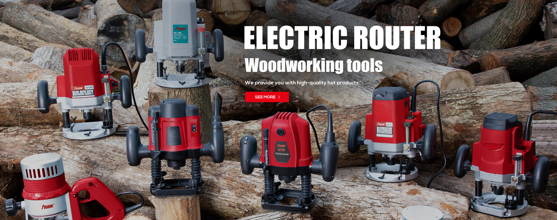 Electric Router