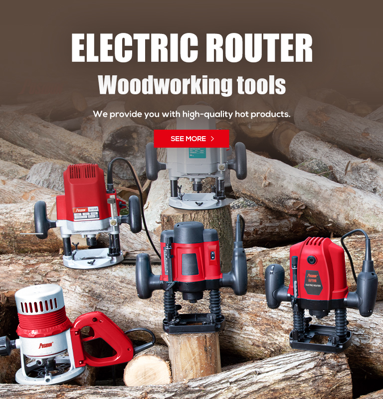 Electric Router
