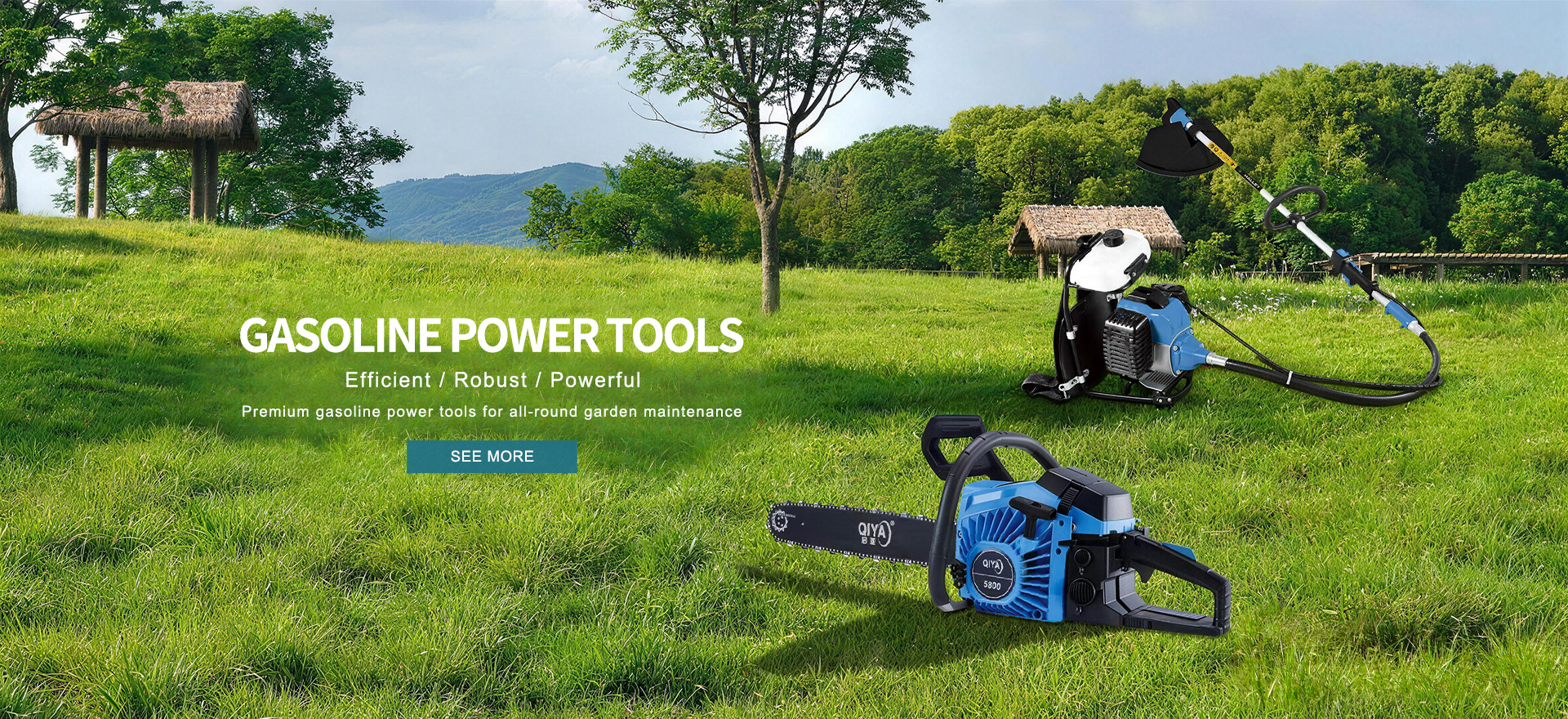 Gasoline Power Tools