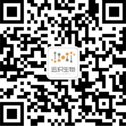 网络科技有限公司